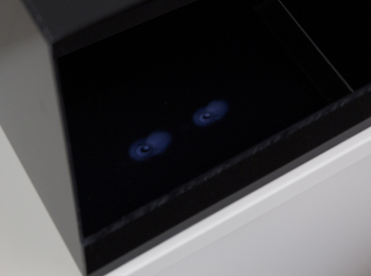 Dimo Ivanov Sonia Stoeva